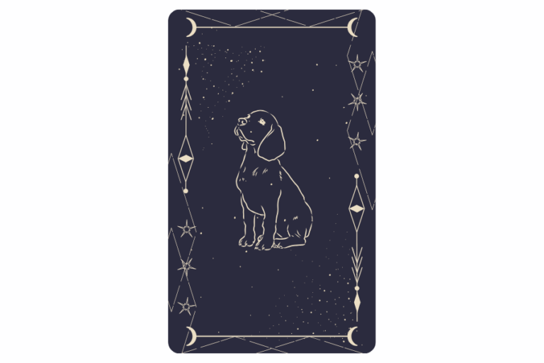 lenormand hund kombinationen