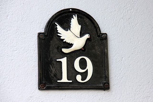number, digit, house number, nineteen, animal, bird, dove, nineteen, nineteen, nineteen, nineteen, nature, nineteen